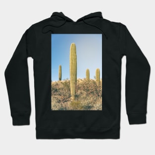 Saguaro Spears Hoodie